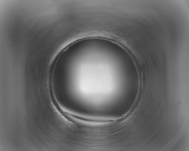 X0000062881500200601131255