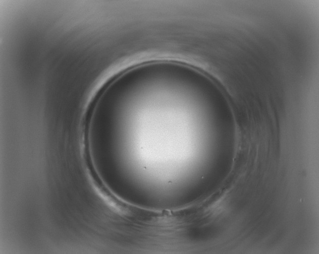X0000062881511200601131255