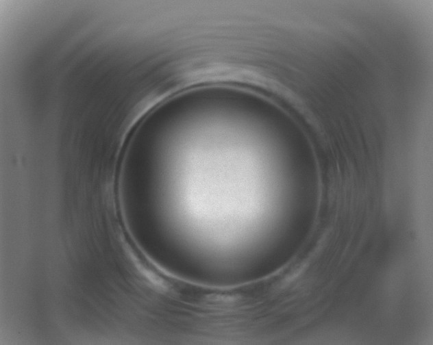 X0000062881513200601131255