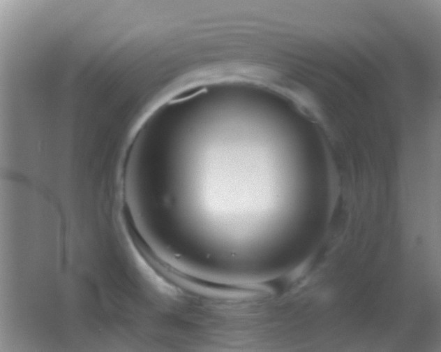 X0000062881524200601131255