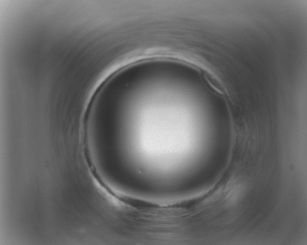 X0000062881527200601131255