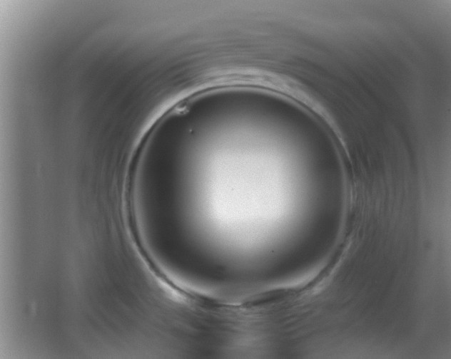 X0000062881533200601131255