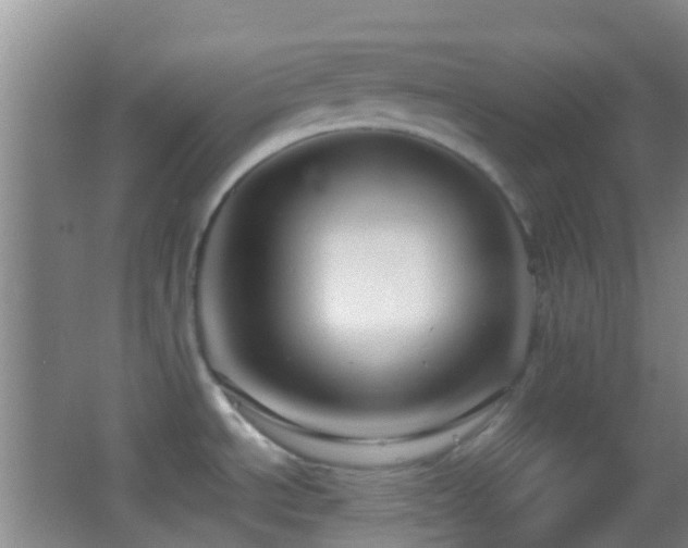 X0000062881534200601131255