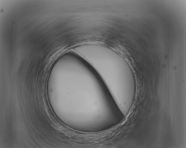 X0000062880001200601171459