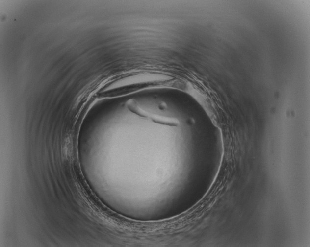 X0000062880002200601171459