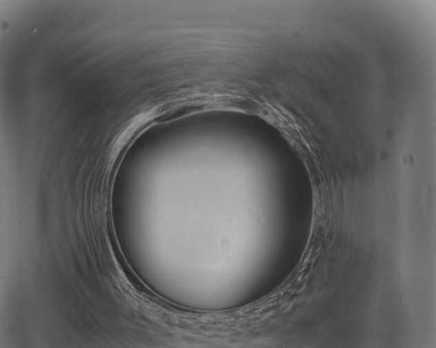 X0000062880003200601171459