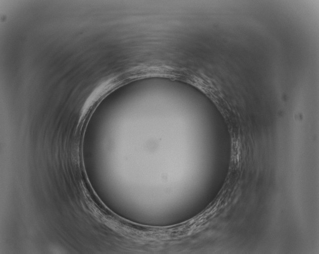 X0000062880004200601171459