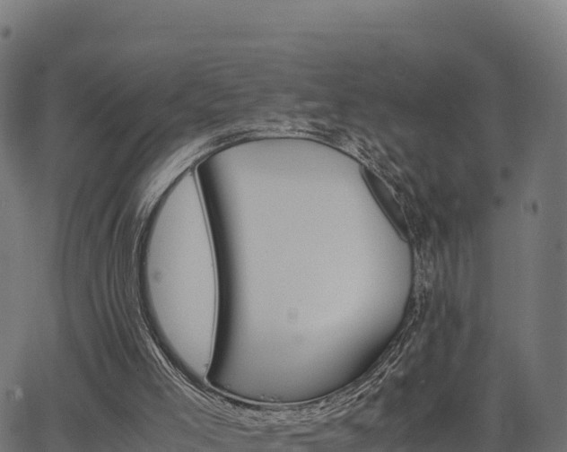 X0000062880005200601171459