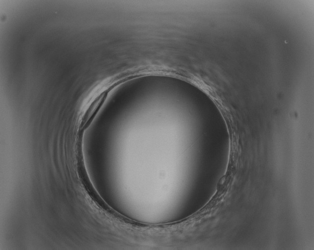 X0000062880007200601171459