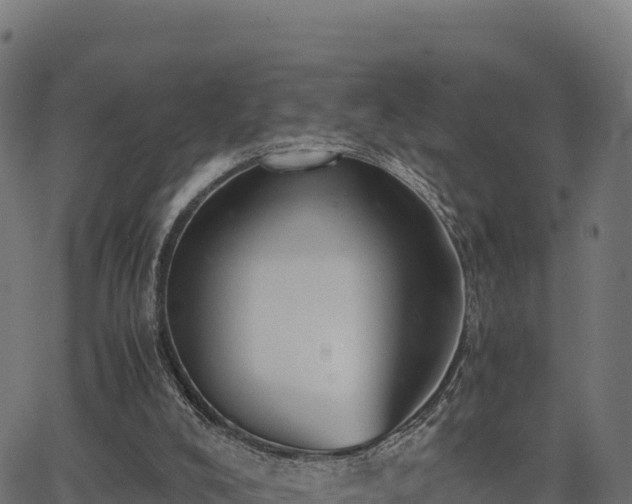 X0000062880008200601171459