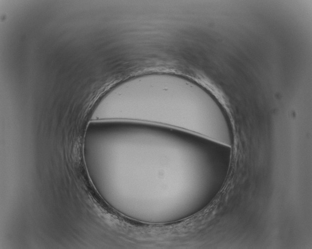 X0000062880009200601171459