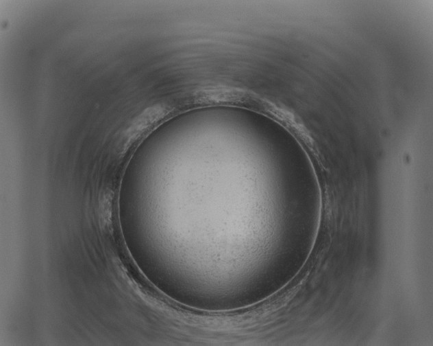 X0000062880010200601171459