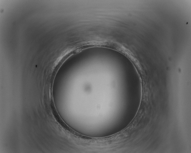 X0000062880011200601171459