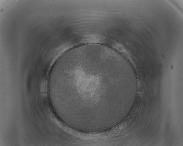 X0000062880012200601171459