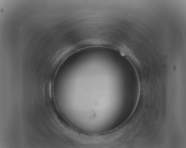 X0000062880014200601171459