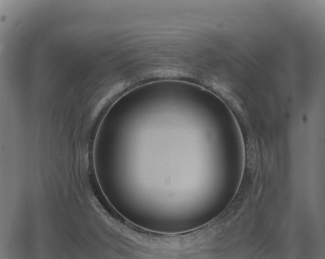 X0000062880015200601171459