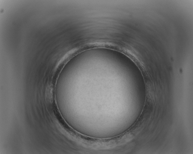 X0000062880016200601171459