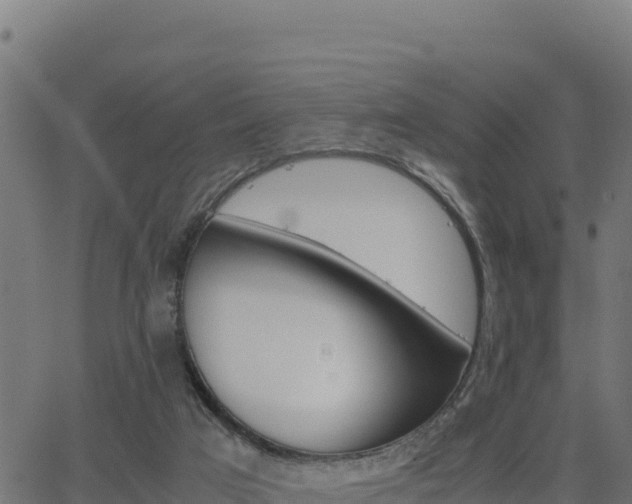 X0000062880017200601171459