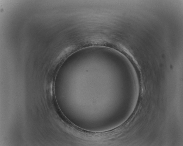 X0000062880019200601171459