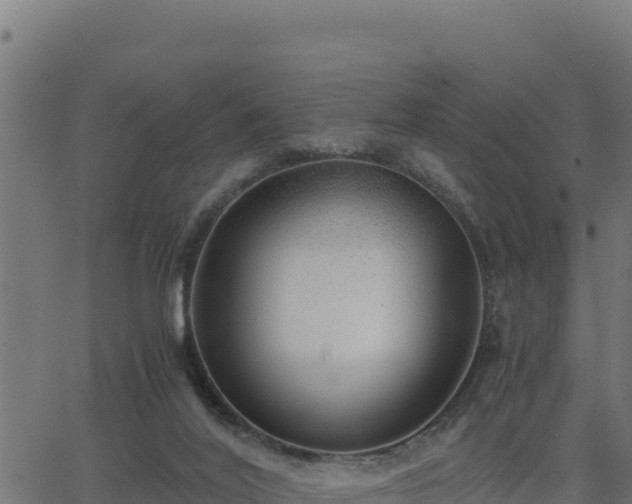 X0000062880020200601171459