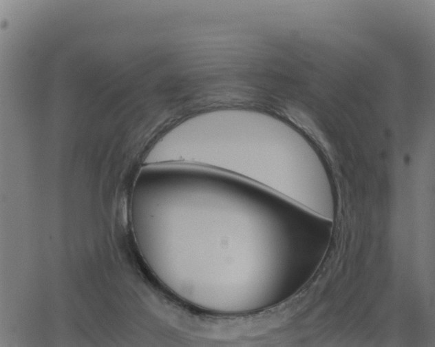 X0000062880021200601171459