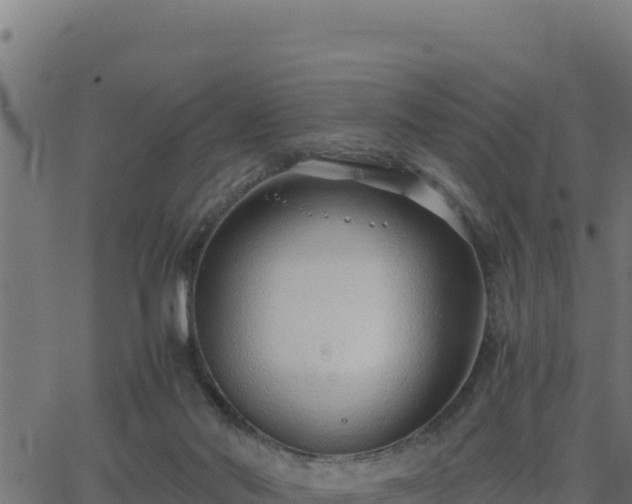 X0000062880022200601171459