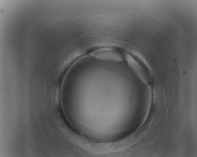 X0000062880023200601171459