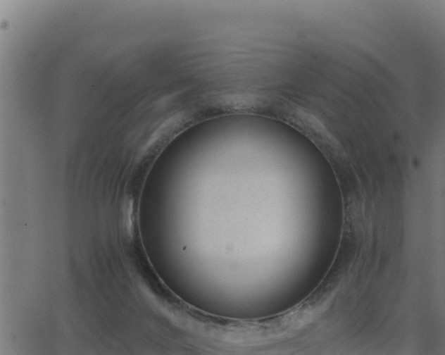 X0000062880024200601171459