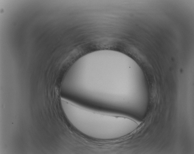 X0000062880025200601171459