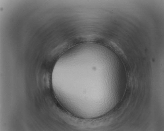 X0000062880026200601171459