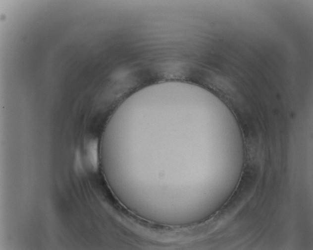 X0000062880028200601171459