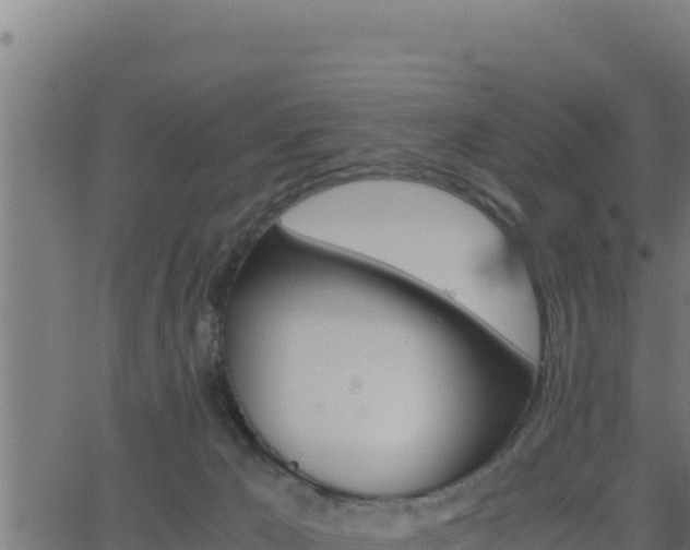 X0000062880029200601171459