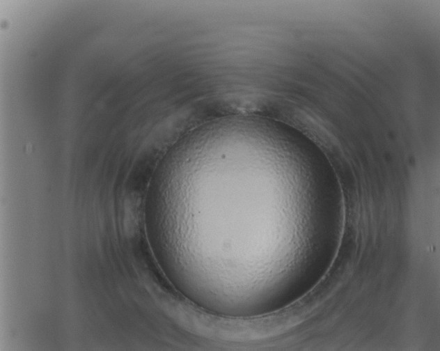 X0000062880030200601171459