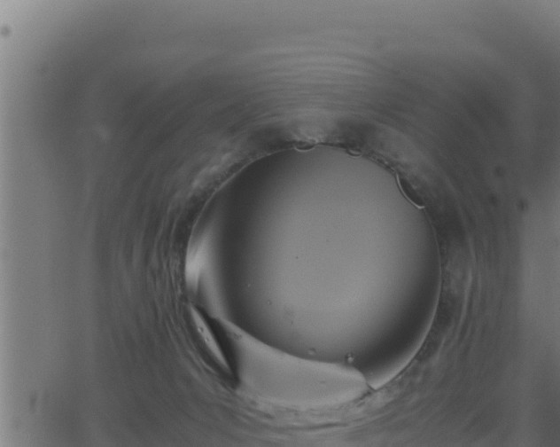 X0000062880031200601171459