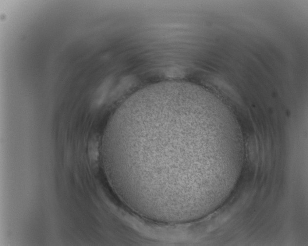 X0000062880032200601171459