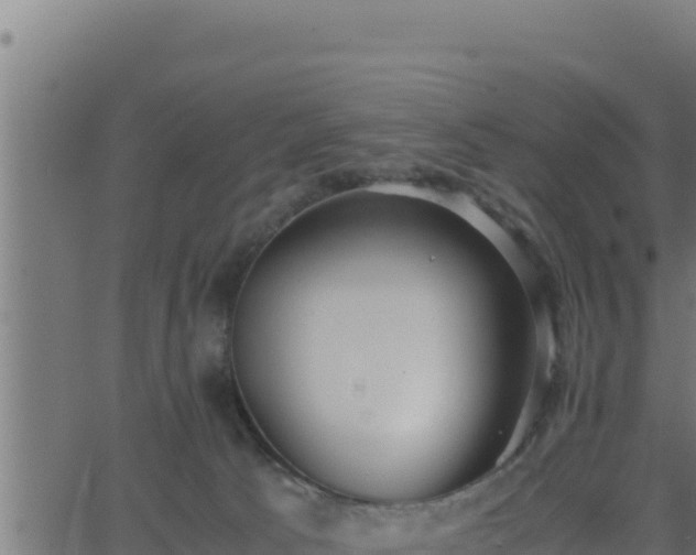 X0000062880033200601171459