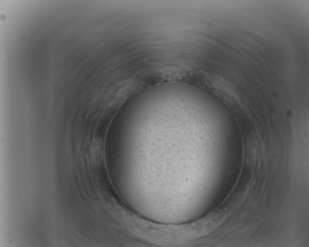 X0000062880034200601171459