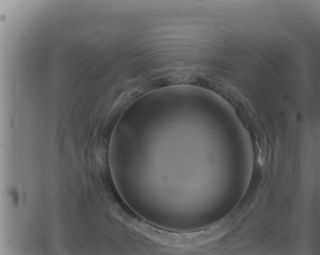 X0000062880035200601171459