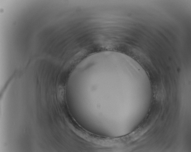 X0000062880036200601171459