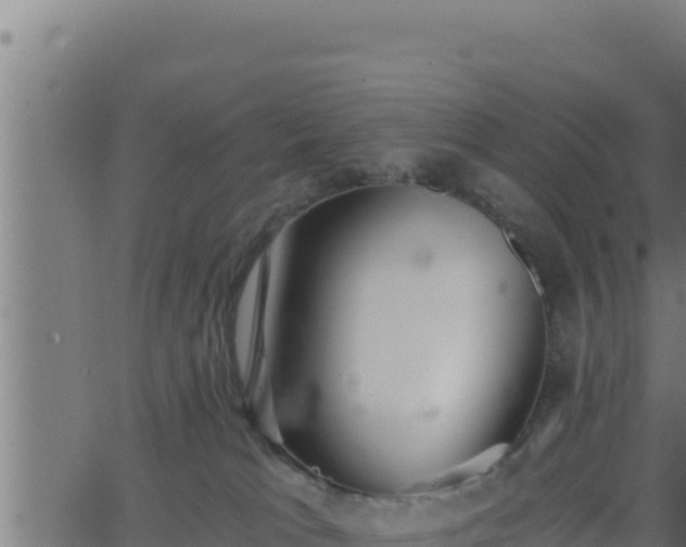 X0000062880037200601171459