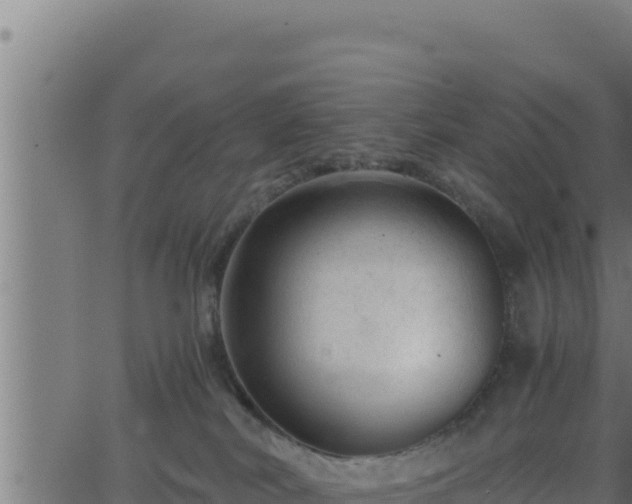 X0000062880038200601171459