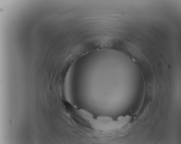 X0000062880039200601171459