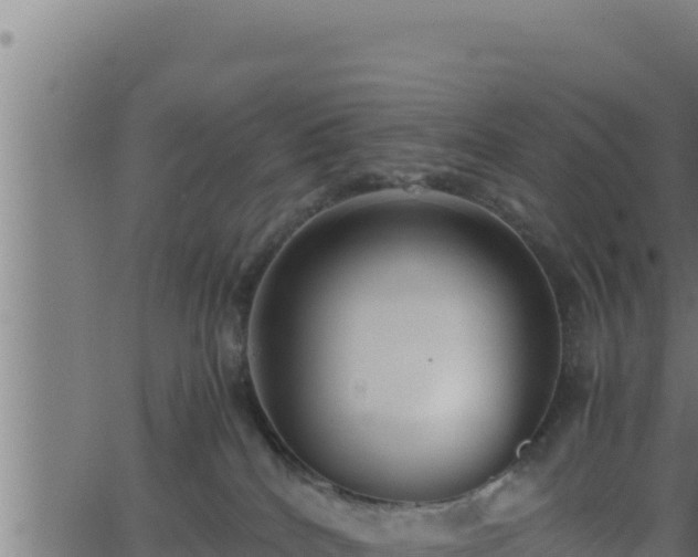 X0000062880040200601171459