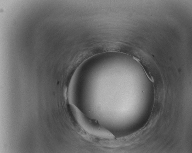 X0000062880041200601171459