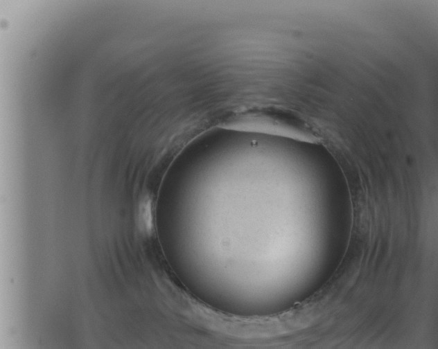 X0000062880042200601171459