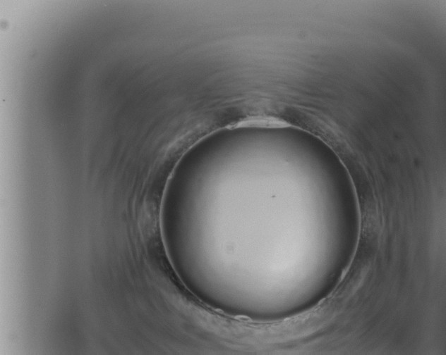 X0000062880043200601171459