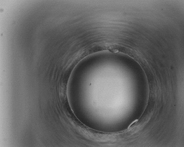 X0000062880044200601171459