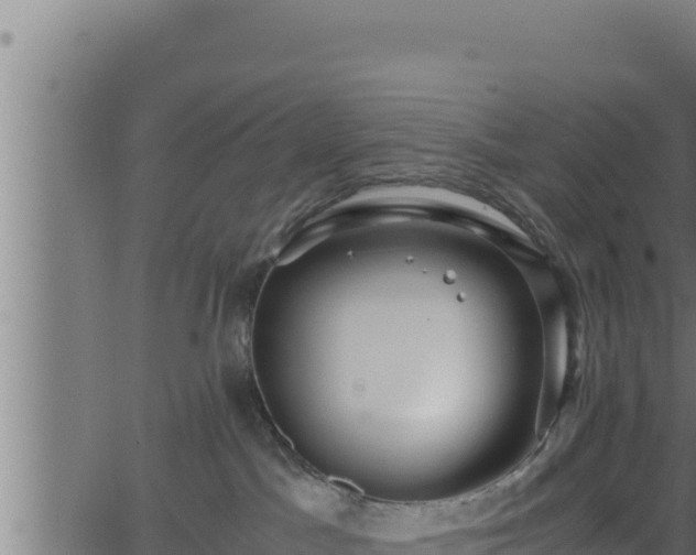 X0000062880045200601171459