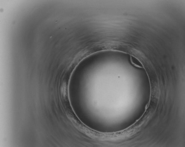 X0000062880046200601171459