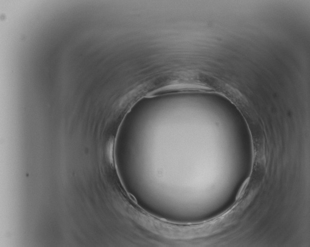 X0000062880047200601171459